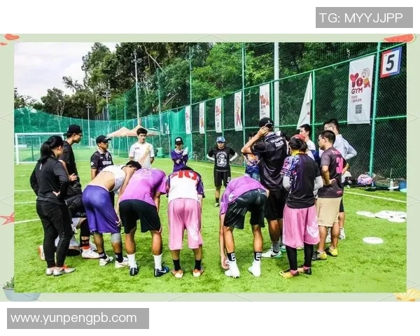 飞盘战术解析：南京飞盘队如何实现全场压制与团队协作